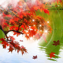 Leaf Fall APK