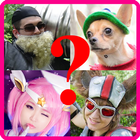 Cosplay Quiz for LoL 图标