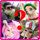 آیکون‌ Cosplay Quiz for LoL