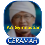 AA Gym Mp3 icône