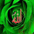 Islamic Images Gif Animated آئیکن