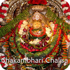 ShakambhariMata Chalisa icône