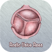 Aortic Valve Area Calculator