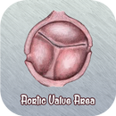 Aortic Valve Area Calculator APK