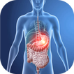 Bicarbonate Deficits Calci