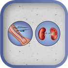 Kt/V (Daugirdas) Calculator icon