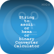 String to ASCII Converter