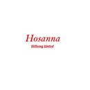 Hillsong Hosanna Lyrics APK