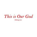 Hillsong This is Our God Lyric APK