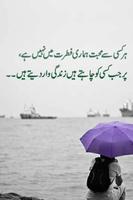 برنامه‌نما picture poetry عکس از صفحه