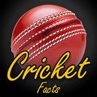 Cricket Facts of T20, Worldcup 아이콘