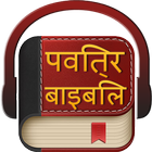 Hindi Bible Audio icon