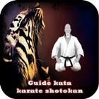 Karate Shotokan Kata icône