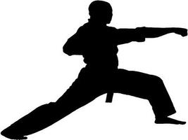 Karate Shotokan Kata Affiche