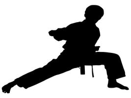 2 Schermata Karate Shotokan Kata
