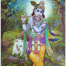 Shri Krishna Bhajan, Janmashta APK