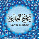 Sahih bukhari hindi APK