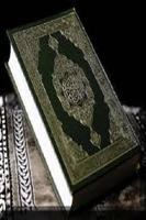Islam Holy Quran in Hindi capture d'écran 1