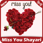 Miss You Shayari in Hindi icône