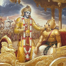 Hindi Shrimad Bhagwat Gita APK