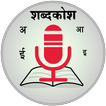 Hindi Voice Search