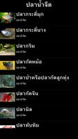 พันธุ์ปลาในประเทศไทย screenshot 2