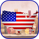 History of USA APK