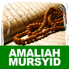 Amaliah Mursyid icône