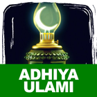 Rawi Maulid Adhiya Ulami biểu tượng