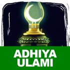 Rawi Maulid Adhiya Ulami icône