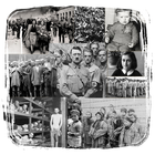 The Holocaust History أيقونة