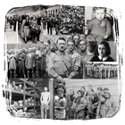 The Holocaust History icône