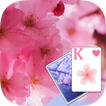 Solitaire Pink Blossom Theme
