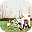 Solitaire Adorable Puppy Theme