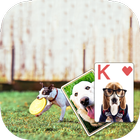 Solitaire Adorable Puppy Theme icône