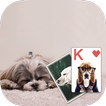 Solitaire Cute Puppies Theme