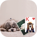 Solitaire Cute Puppies Theme APK