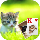 Solitaire Little Cat Theme APK