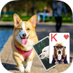 Solitaire Lovely Dogs Theme