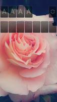 Solitaire Purple Rose Theme screenshot 1