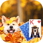 Solitaire Playful Dog Theme icône