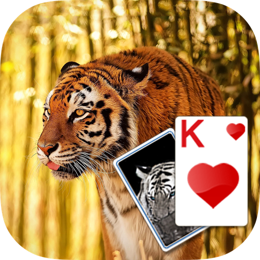 Solitaire Tiger Theme