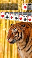 Solitaire Tiger Theme پوسٹر