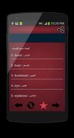 Arabic Translation screenshot 2