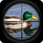 Duck Shoot Hunting Bird Wild Sniper 3D 2018 biểu tượng