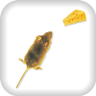Made Mice for Cheese icône