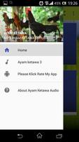 Ayam Ketawa Audio Offline poster