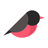 AirFinch icon