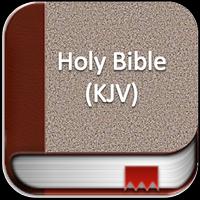 Holy Bible Kjv Cartaz