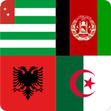 Solve The Flags Puzzle